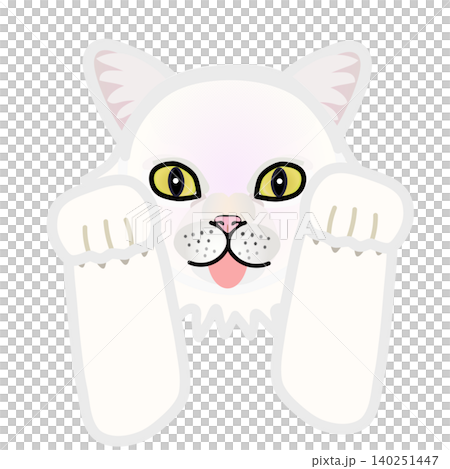 Illustration of a white cat's face with its front paws still attached. Illustration of a white cat's face with its front paws still attached. 140251447