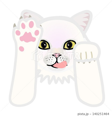 前足のついた白猫の顔イラスト 前足のついた白猫の顔イラスト 140251464