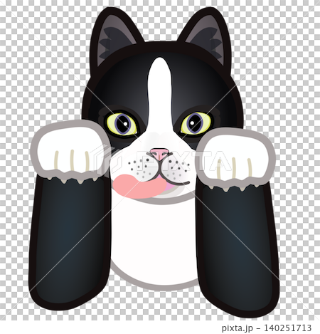 一隻穿著襪子的貓的臉的插圖 一隻穿著襪子的貓的臉的插圖 140251713