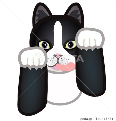 靴下猫の顔イラスト 140251714