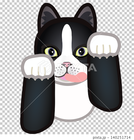 靴下猫の顔イラスト 140251714