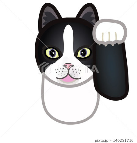靴下猫の顔イラスト 靴下猫の顔イラスト 140251716