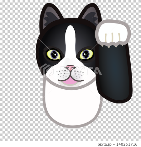 靴下猫の顔イラスト 靴下猫の顔イラスト 140251716