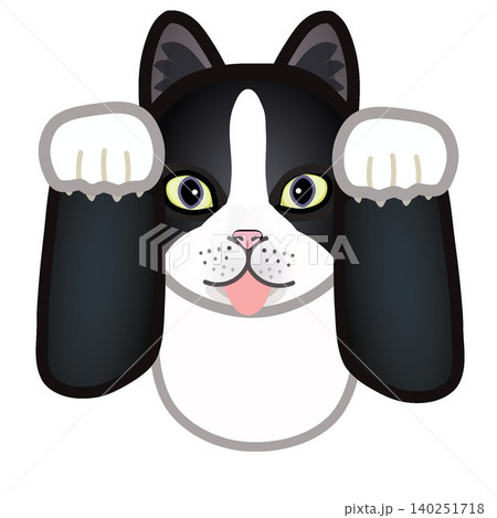 靴下猫の顔イラスト 靴下猫の顔イラスト 140251718