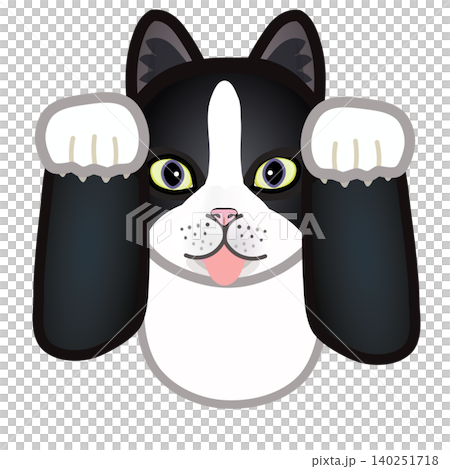 靴下猫の顔イラスト 靴下猫の顔イラスト 140251718