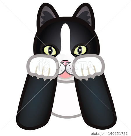 靴下猫の顔イラスト 靴下猫の顔イラスト 140251721