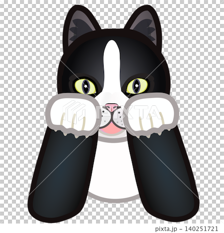 靴下猫の顔イラスト 靴下猫の顔イラスト 140251721