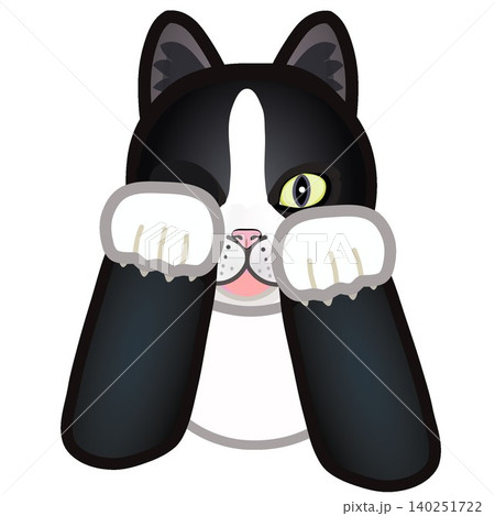 靴下猫の顔イラスト 靴下猫の顔イラスト 140251722