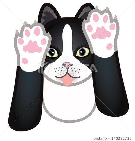 靴下猫の顔イラスト 靴下猫の顔イラスト 140251733