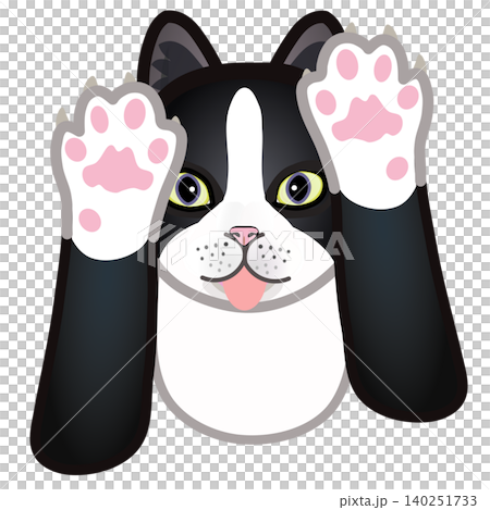 靴下猫の顔イラスト 靴下猫の顔イラスト 140251733