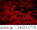 彼岸花 140251776