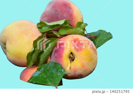 Ripe, juicy and aromatic peaches Ripe, juicy and aromatic peaches 140251795
