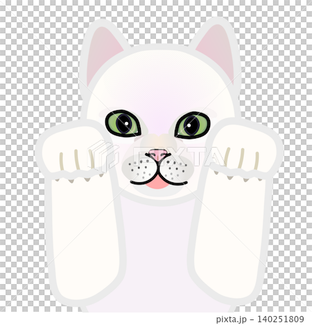 前足のついた白猫の顔イラスト 前足のついた白猫の顔イラスト 140251809