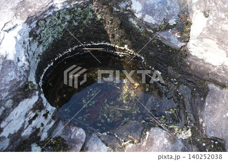 苔むした樹木の根元の穴と水 苔むした樹木の根元の穴と水 140252038