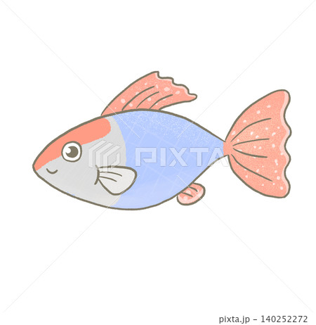 R:もっとメルヘンな水族館☆熱帯魚 グッピー⑤ R:もっとメルヘンな水族館☆熱帯魚 グッピー⑤ 140252272