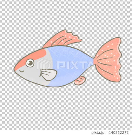 R:更像童話般的水族箱☆熱帶魚孔雀魚⑤ R:更像童話般的水族箱☆熱帶魚孔雀魚⑤ 140252272