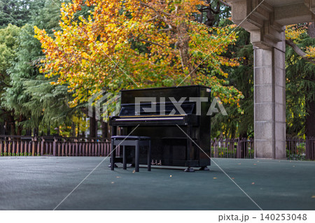 日比谷公園の美しい紅葉を背景に置かれた屋外のストリートピアノ 2023年11月 日比谷公園の美しい紅葉を背景に置かれた屋外のストリートピアノ 2023年11月 140253048