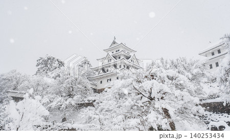 郡上八幡城（冬） 140253434