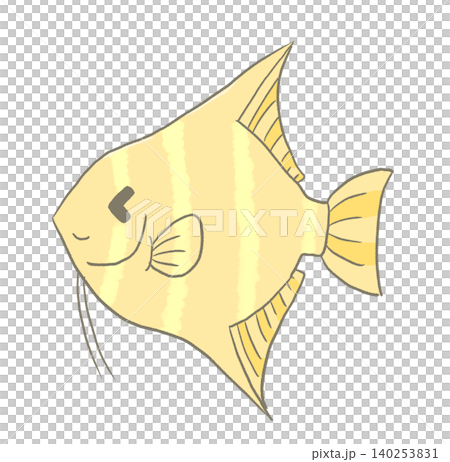 R: A more fairytale-like aquarium ☆ Tropical fish - Angelfish ⑤ R: A more fairytale-like aquarium ☆ Tropical fish - Angelfish ⑤ 140253831