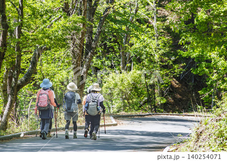 新緑の美しい森をハイキングする登山客のグループ 新緑の美しい森をハイキングする登山客のグループ 140254071