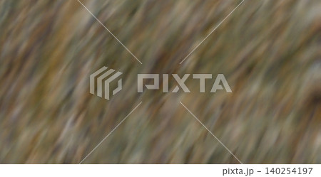Illustration 140254197