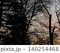 冬の夕暮れの空と枯れ木 140254468