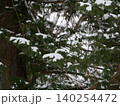 雪が積もった松の木 140254472