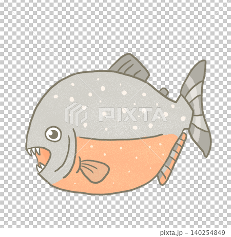 R：更像童話般的水族箱☆熱帶魚 - 食人魚① 140254849