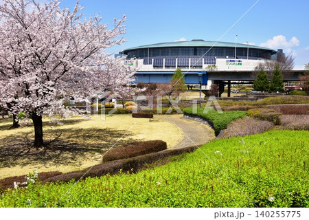 前橋市　グリーンドーム前橋と満開桜 140255775