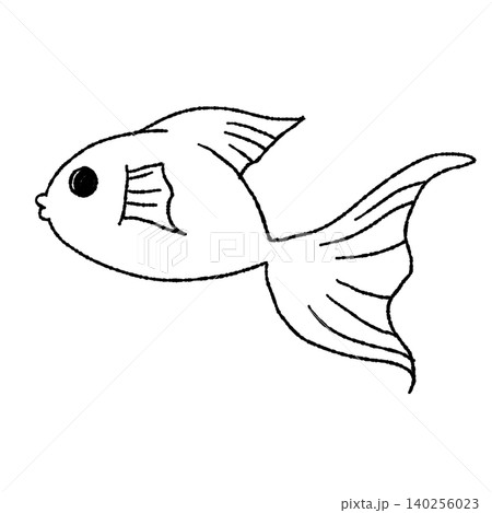魚のイラスト 魚のイラスト 140256023