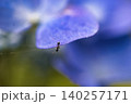 ありり・・・歩くところがないぞ 140257171
