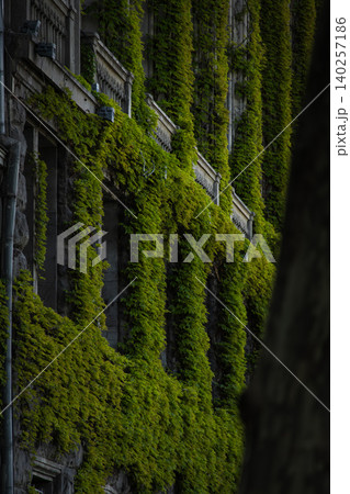 Historic Building Covered with Lush Green Ivy, Vertical Garden Facade Showcasing Urban Nature 140257186