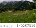Alpine Meadow Wildflowers with Blurred Tyrolean Village Background 140257319