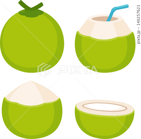 Fresh coconut illustration set Fresh coconut illustration set 140257621