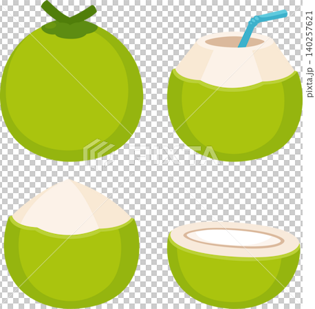 Fresh coconut illustration set Fresh coconut illustration set 140257621