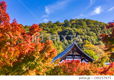 Vibrant autumn foliage surrounds a traditional Japanese temple roof against a blue sky Vibrant autumn foliage surrounds a traditional Japanese temple roof against a blue sky 140257675