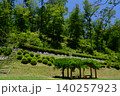 新緑に包まれた公園@東京青梅 140257923