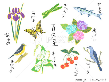 二十四節気　夏至イラスト 140257963