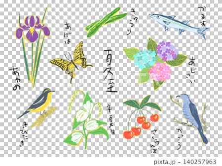 二十四節気　夏至イラスト 140257963