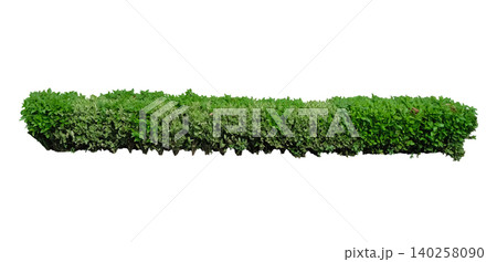 Green hedge or Green Leaves Wall Green hedge or Green Leaves Wall 140258090
