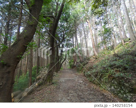 豊橋市 赤岩寺 展望台と赤岩尾根に続く道 豊橋市 赤岩寺 展望台と赤岩尾根に続く道 140258154