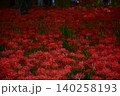 深紅の絨毯 140258193