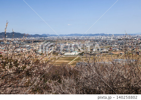 綾部山梅林からの海 綾部山梅林からの海 140258802