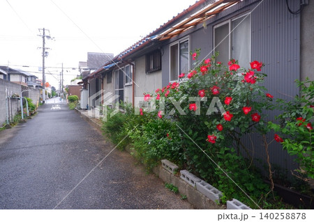住宅街の花 住宅街の花 140258878