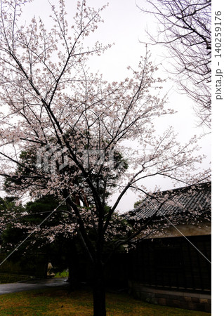 風情豊かな日本の春 風情豊かな日本の春 140259176