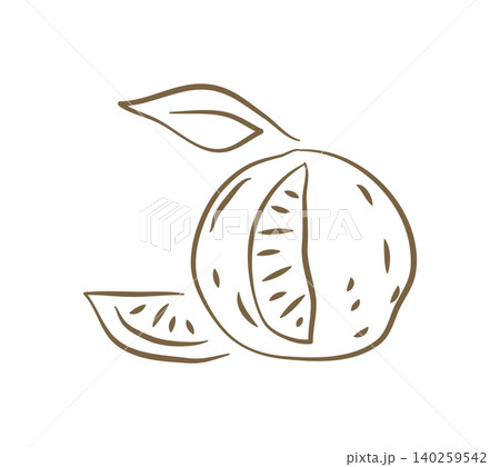 A Fresh Whole Lemon With A Slice And Leaf Doodle Vector Illustration A Fresh Whole Lemon With A Slice And Leaf Doodle Vector Illustration 140259542