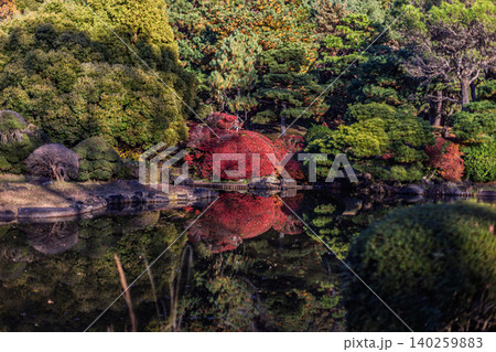 小石川植物園の日本庭園の池と水面に映る赤い紅葉 2023年12月 小石川植物園の日本庭園の池と水面に映る赤い紅葉 2023年12月 140259883