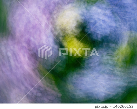 紫陽花乱舞 140260152