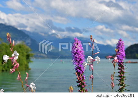 フランス・アヌシー湖畔に咲く花、 夏の美しい風景（2021年7月28日） 140260191
