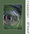 Abstract Forest Vortex with Intentional Camera Movement 140260411